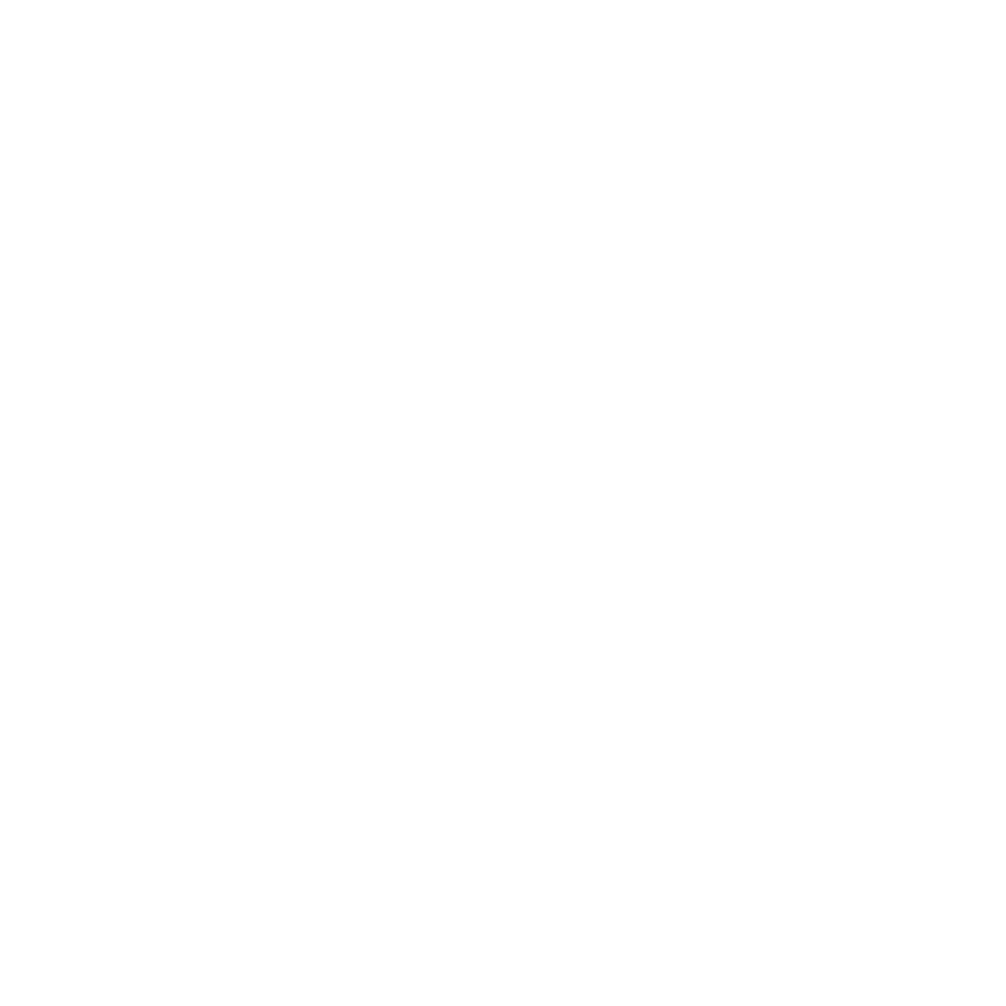 Little Warriors